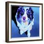 Aussie - Kokanee-Dawgart-Framed Giclee Print