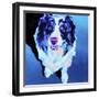 Aussie - Kokanee-Dawgart-Framed Giclee Print