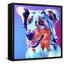 Aussie - Pepper-Dawgart-Framed Stretched Canvas