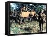 Aussie Troop Carriers-Henri Huet-Framed Stretched Canvas