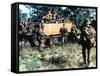 Aussie Troop Carriers-Henri Huet-Framed Stretched Canvas