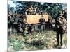 Aussie Troop Carriers-Henri Huet-Mounted Photographic Print