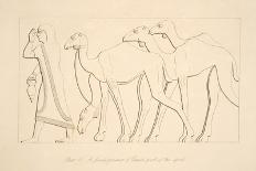 A Female Prisoner and Camel, Illustration from 'Monuments of Nineveh', 1849 (Engraving)-Austen Henry Layard-Giclee Print