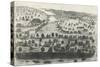 Austin, Capital City of Texas, 1840, Lithograph, United States of America, 19th Century-null-Stretched Canvas