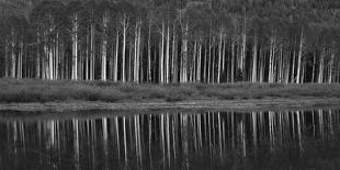 Black And White Panoramic Shot Of Willow Lake, Big Cottonwood Canyon, Utah-Austin Cronnelly-Photographic Print