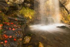 Man Hiking In Upper Paintbrush Canyon In Grand Teton National Park, Wyoming-Austin Cronnelly-Photographic Print