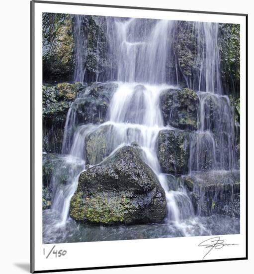 Austin Falls-Ken Bremer-Mounted Limited Edition