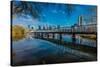 AUSTIN SKYLINE AND LADY BIRD LAKE - Austin Texas skyline. The Boardwalk Trail at Lady Bird Lake-null-Stretched Canvas