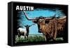 Austin, Texas - Longhorn - Scratchboard-Lantern Press-Framed Stretched Canvas