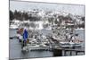 Austnes Fjord, Lofoten Islands, Arctic, Norway, Scandinavia-Sergio Pitamitz-Mounted Photographic Print