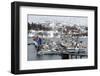 Austnes Fjord, Lofoten Islands, Arctic, Norway, Scandinavia-Sergio Pitamitz-Framed Photographic Print