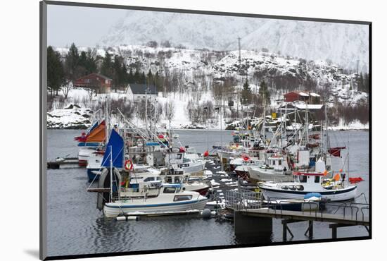 Austnes Fjord, Lofoten Islands, Arctic, Norway, Scandinavia-Sergio Pitamitz-Mounted Photographic Print
