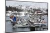 Austnes Fjord, Lofoten Islands, Arctic, Norway, Scandinavia-Sergio Pitamitz-Mounted Photographic Print