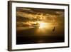 Australasian Gannet Soaring Above the Ocean While-null-Framed Photographic Print