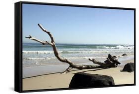 Australia 2-Karen Williams-Framed Stretched Canvas