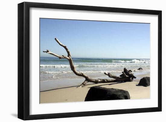 Australia 2-Karen Williams-Framed Premium Giclee Print