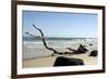 Australia 2-Karen Williams-Framed Giclee Print