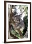 Australia 4-Karen Williams-Framed Giclee Print