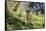 Australia, Adelaide. Cleland Wildlife Park. Australian Dingo-Cindy Miller Hopkins-Framed Stretched Canvas
