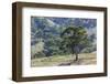 Australia, Adelaide Hills, Landscape-Walter Bibikow-Framed Photographic Print