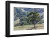 Australia, Adelaide Hills, Landscape-Walter Bibikow-Framed Photographic Print