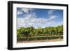 Australia, Barossa Valley, Rowland Flat, Jacobs Creek Winery, Vineyard-Walter Bibikow-Framed Photographic Print