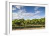 Australia, Barossa Valley, Rowland Flat, Jacobs Creek Winery, Vineyard-Walter Bibikow-Framed Photographic Print