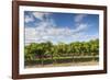 Australia, Barossa Valley, Rowland Flat, Jacobs Creek Winery, Vineyard-Walter Bibikow-Framed Photographic Print