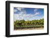 Australia, Barossa Valley, Rowland Flat, Jacobs Creek Winery, Vineyard-Walter Bibikow-Framed Photographic Print