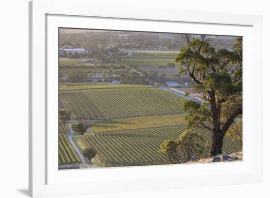 Australia, Barossa Valley, Tanunda, Vineyard View from Menglers Hill-Walter Bibikow-Framed Photographic Print