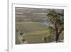Australia, Barossa Valley, Tanunda, Vineyard View from Menglers Hill-Walter Bibikow-Framed Photographic Print