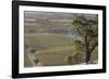 Australia, Barossa Valley, Tanunda, Vineyard View from Menglers Hill-Walter Bibikow-Framed Photographic Print
