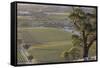 Australia, Barossa Valley, Tanunda, Vineyard View from Menglers Hill-Walter Bibikow-Framed Stretched Canvas