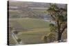 Australia, Barossa Valley, Tanunda, Vineyard View from Menglers Hill-Walter Bibikow-Stretched Canvas