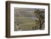 Australia, Barossa Valley, Tanunda, Vineyard View from Menglers Hill-Walter Bibikow-Framed Photographic Print