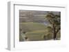 Australia, Barossa Valley, Tanunda, Vineyard View from Menglers Hill-Walter Bibikow-Framed Photographic Print