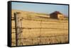 Australia, Burra, Former Copper Mining Town, Abandoned Homestead-Walter Bibikow-Framed Stretched Canvas