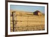 Australia, Burra, Former Copper Mining Town, Abandoned Homestead-Walter Bibikow-Framed Photographic Print