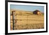 Australia, Burra, Former Copper Mining Town, Abandoned Homestead-Walter Bibikow-Framed Photographic Print