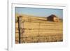 Australia, Burra, Former Copper Mining Town, Abandoned Homestead-Walter Bibikow-Framed Photographic Print