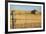 Australia, Burra, Former Copper Mining Town, Abandoned Homestead-Walter Bibikow-Framed Photographic Print