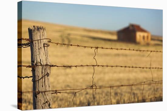 Australia, Burra, Former Copper Mining Town, Abandoned Homestead-Walter Bibikow-Stretched Canvas