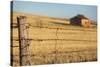 Australia, Burra, Former Copper Mining Town, Abandoned Homestead-Walter Bibikow-Stretched Canvas