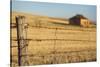 Australia, Burra, Former Copper Mining Town, Abandoned Homestead-Walter Bibikow-Stretched Canvas