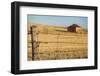 Australia, Burra, Former Copper Mining Town, Abandoned Homestead-Walter Bibikow-Framed Photographic Print