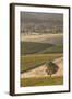 Australia, Clare Valley, Clare, Elevated View of Vineyards-Walter Bibikow-Framed Photographic Print