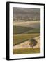 Australia, Clare Valley, Clare, Elevated View of Vineyards-Walter Bibikow-Framed Photographic Print