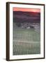 Australia, Clare Valley, Clare, Elevated View of Vineyards-Walter Bibikow-Framed Photographic Print