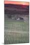 Australia, Clare Valley, Clare, Elevated View of Vineyards-Walter Bibikow-Mounted Photographic Print