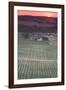 Australia, Clare Valley, Clare, Elevated View of Vineyards-Walter Bibikow-Framed Photographic Print